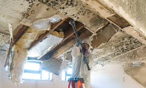 Best Mold Prevention Services  in Pearson, GA